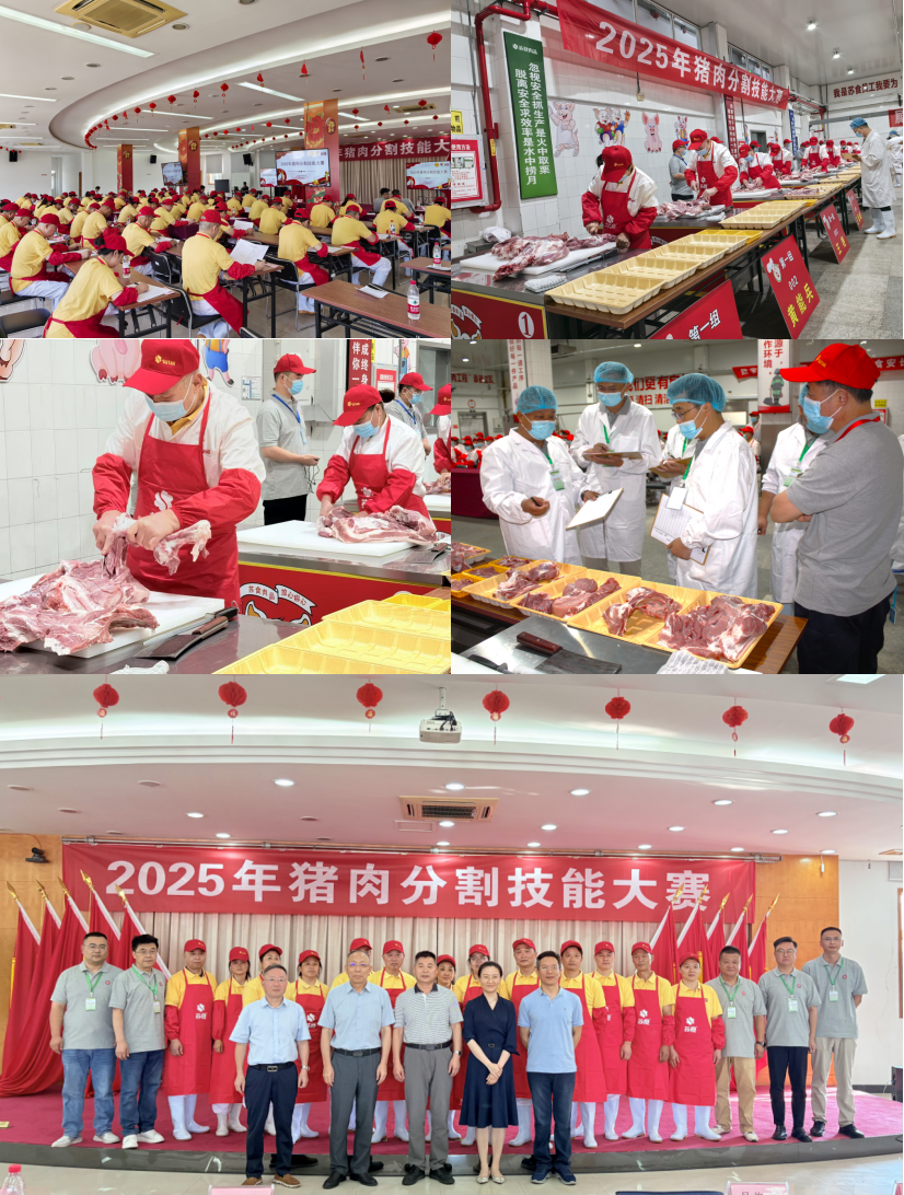 网络信息2025-8.png